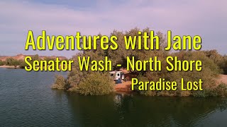 Adventures with Jane - Senator Wash - Paradise Lost