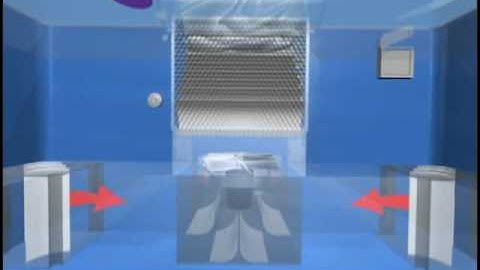 How an Endless Pool works