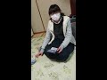 セキセイインコからいじめられて可哀想なかぐや姫(泣)😭😭😭チャンネル登録をお願い致します!!️!!️!!️