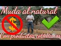 🕊️MUDA AL NATURAL🤔🤔🤔