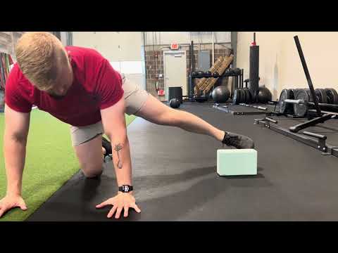 Hip Abduction Hover (quadruped)