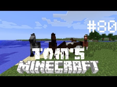 Tom's Minecraft - S2E080 Paarden en Ezels gevonden!