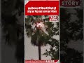 कुशीनगर में आसमान से गिरी आफत! बिजली गिरते ही जलकर राख हुआ ताड़ का पेड़ | Kushinagar |