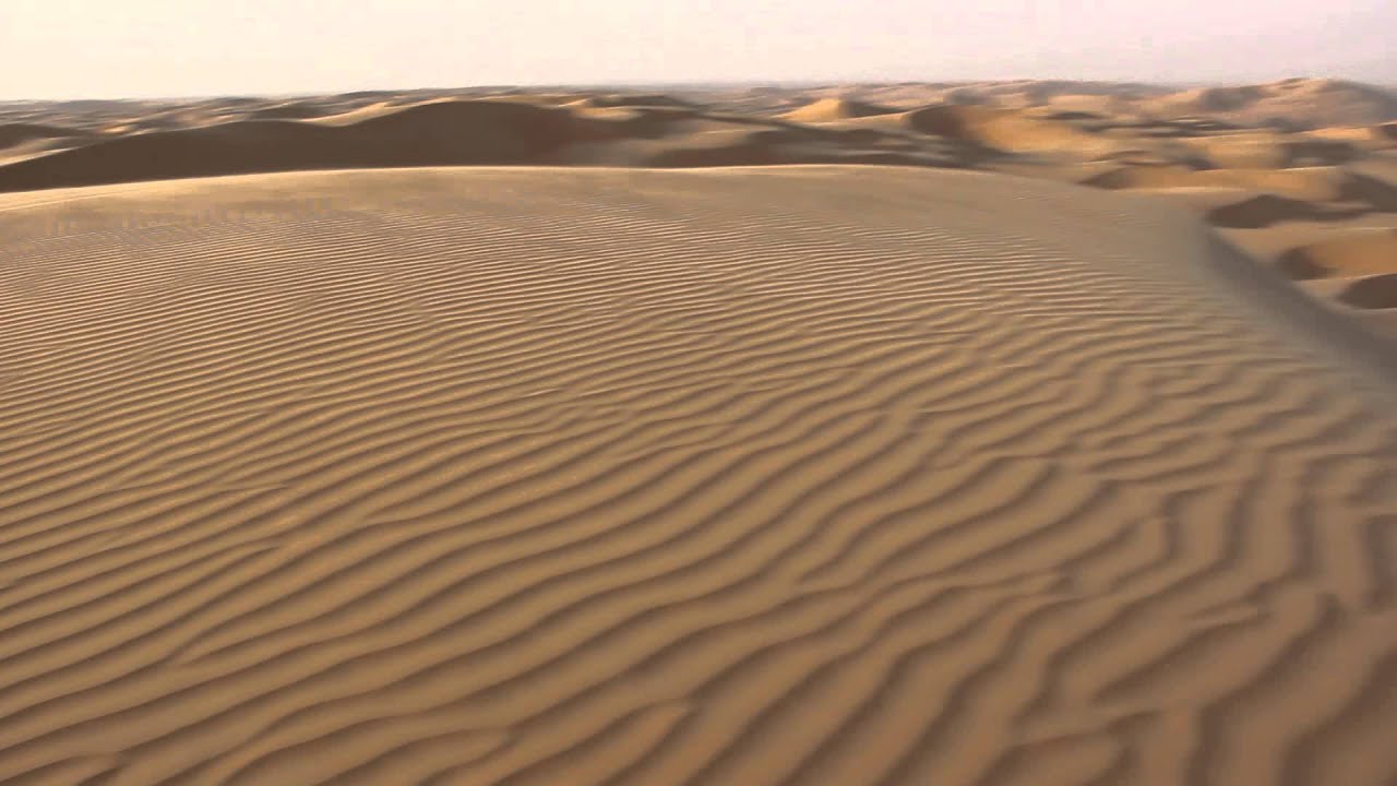  Desert Wind The Shaping of Sand Dunes in the Desert 