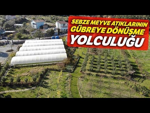 Video: Gıda Atıklarından Büyüyebilen 9 Sebze