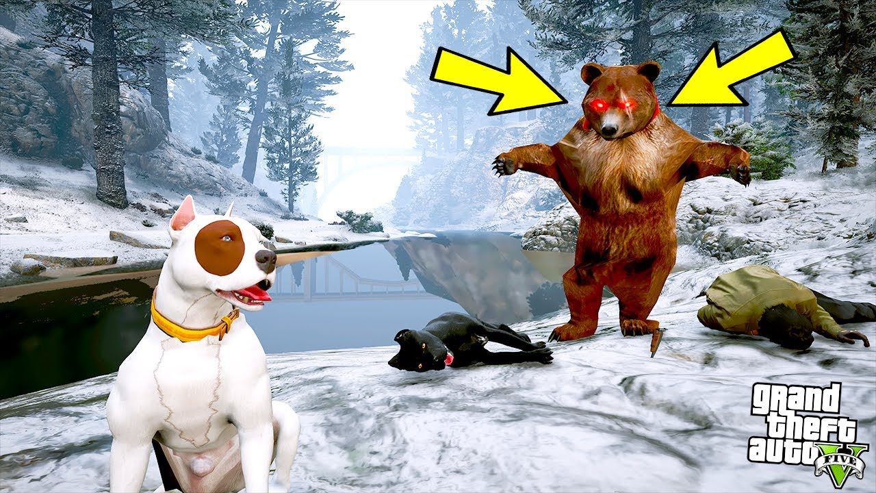 YAVRU PİTBULL AMCASI HIRÇIN'I KORKUNÇ AYIDAN KURTARIYOR! - GTA 5