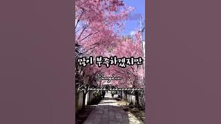 Davichi ~ Confession (고백) Han/Indo lyrics #Femaleversion