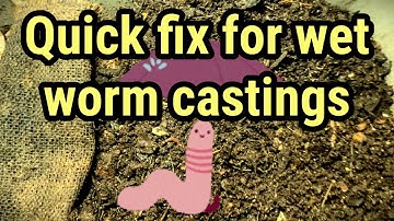 Quick fix for wet worm castings! #vermicompost #vermicomposting