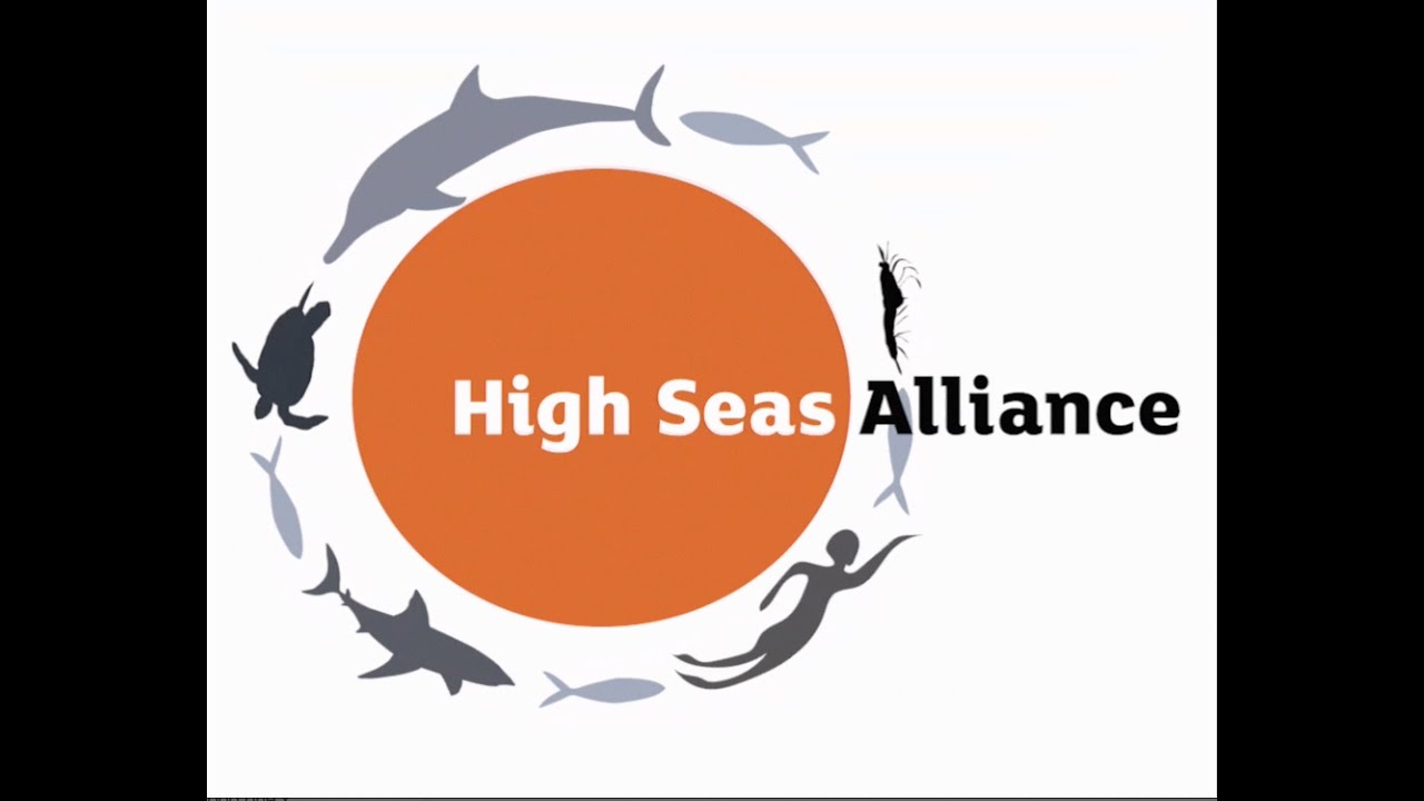 Update From the Final day of BBNJ UN Treaty Negotiations