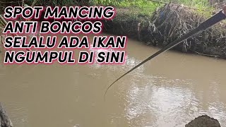 MANCING SAMBIL MENUNGGU BERBUKA PUASA ‼️ MALAH DAPAT IKAN BANYAK ‼️ TEKNIK NUTUL 