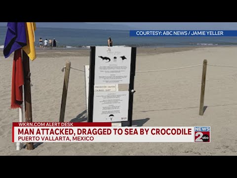 Man attacked, dragged to sea by crocodile
