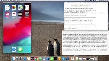 How to setup Antiqueruby React Native app in local environment.