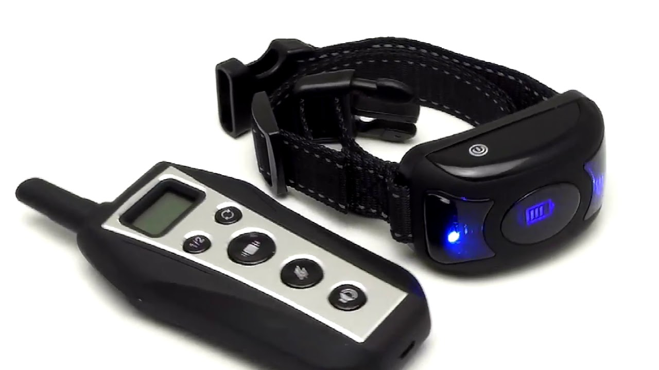 T700 dog training collar YouTube
