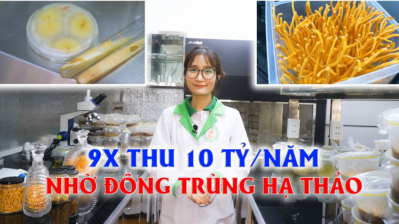 phòng khám 61 quang trung hà đông Update Lợi nhuận 10 tỷ/năm nhờ nuôi đông trung hạ thảo | Hướng dẫn cách nuôi đông trùng hạ thảo - Phần 1