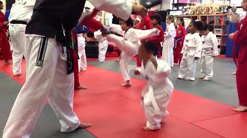 Tae Kwon Do punch kick block drill