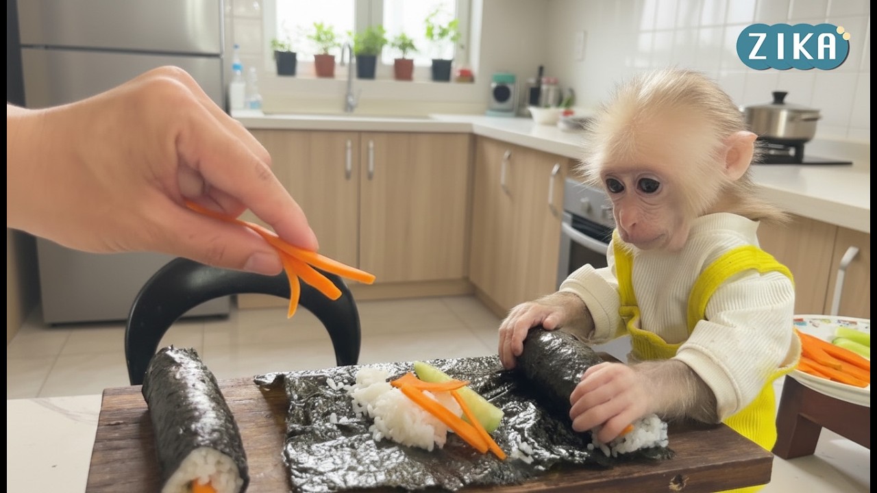 Monkey Zika help uncle make super delicious Kimbap