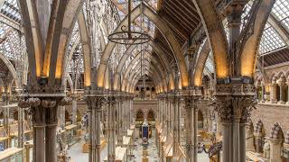 Oxford University Museum of Natural History Live Stream