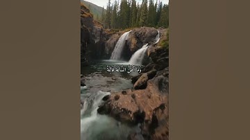 واتس اب قران كريم القارئ ياسر دوسري (سوره الكهف)