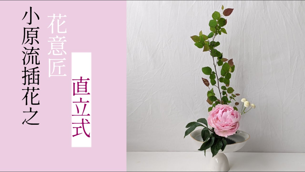 花與貓｜小原流花意匠直立式(芍藥) Ohararyu Ikebaba Hana-isho Rising (Herbaceous Peony)
