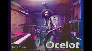 Ocelot - Koca Bir Saçmalık Guitar Cover Jakuzi Cover 