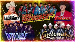 Cardenales De Nuevo Leon, Los Huracanes del Norte, Los Tigres del Norte, Los Invasores, Ramon Ayala