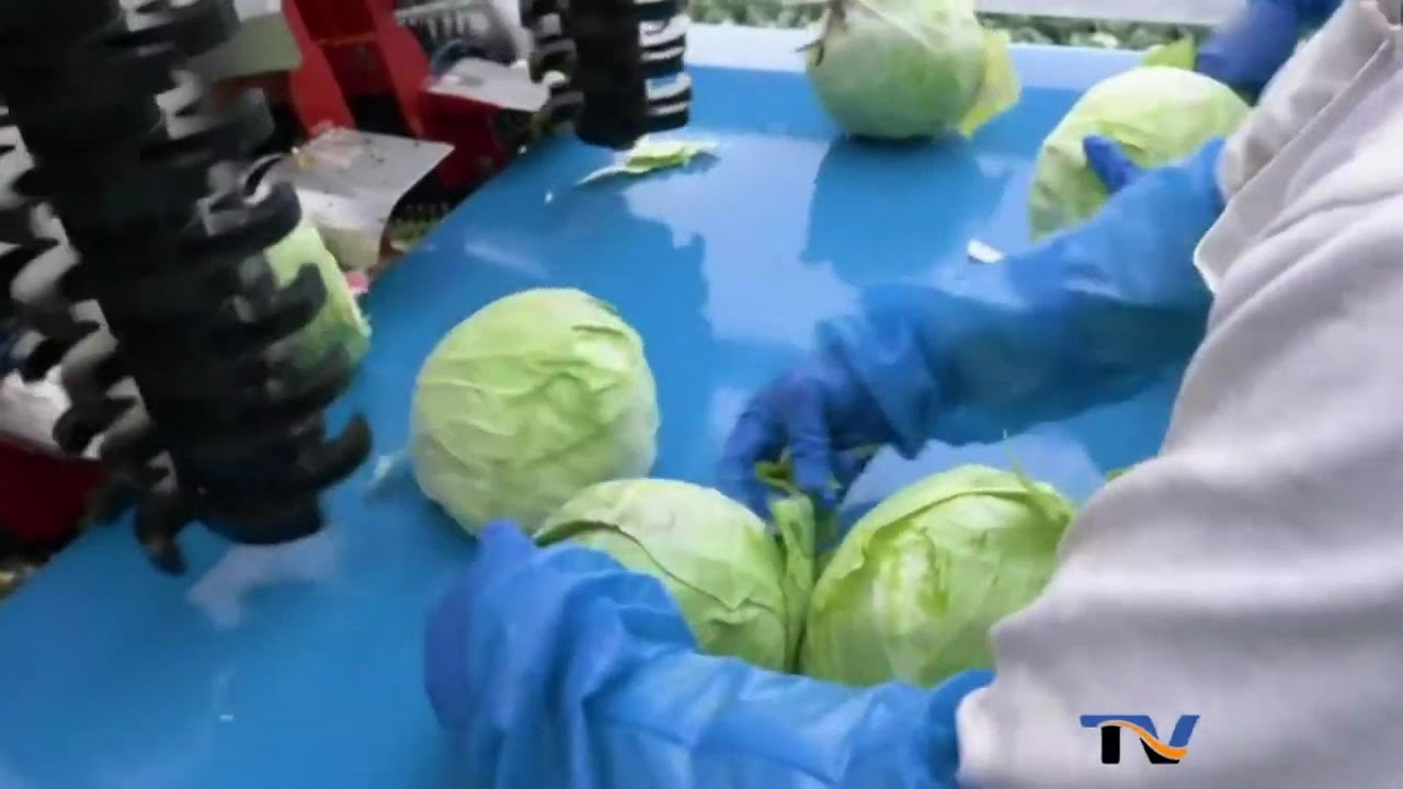 Amazing Unreal Useful Machines You Need To See - YouTube