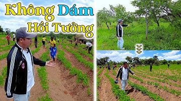 Đông Paulo || Không Dám Hồi Tưởng Lại Thời Gian Mới Đến Đây! Mọi Thứ Quá Nhanh?