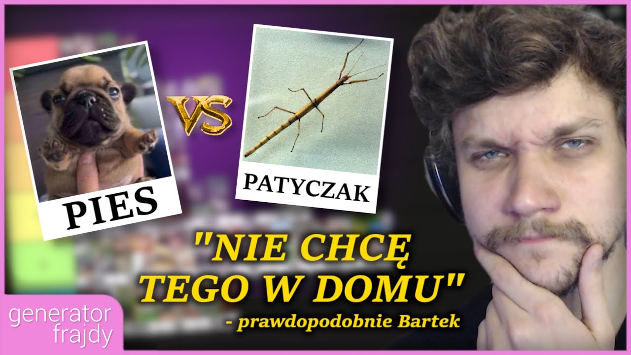 Ranking ZWIERZĄT DOMOWYCH