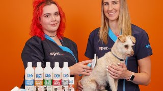 Winter Grooming Tips For Your Dog