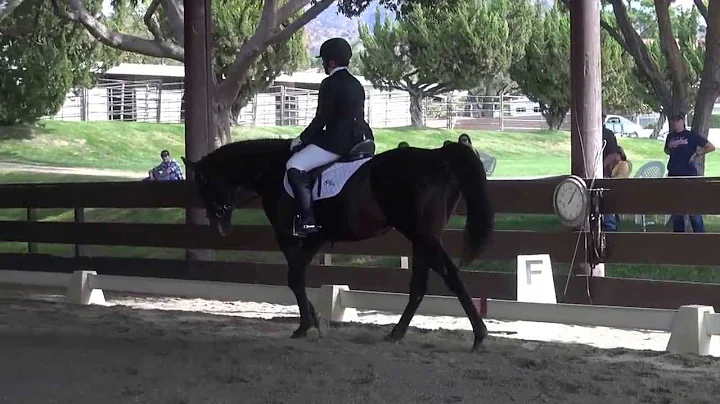 Prince Albert & Angela Lockman - Training Level, T...