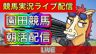園田競馬　朝活配信【パイセンの競馬チャンネル】
