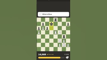January 28, 2025 #chess #shorts