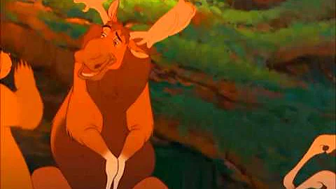 Brother Bear- Meets Rutt & Tuke