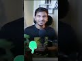 https://app.groww.in/v3cO/c0b9f8ca