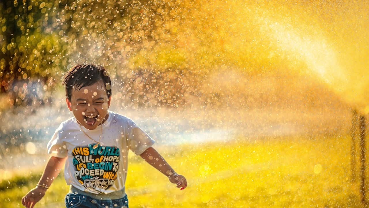 Art of Joy: Feel Happiness — the science of happiness | HDL Group