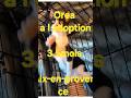 Adoption Orea Joueuse Caline a Aix-en-provence
