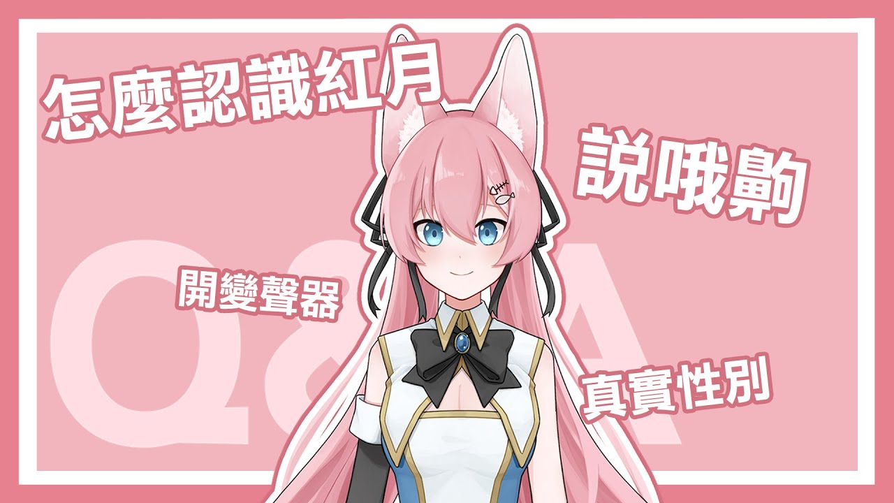 【Q&A】回答你們最想知道的事 !!｜阿洛 RLuo