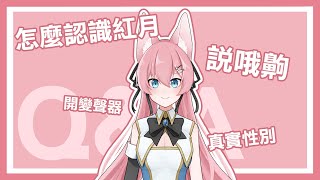 【Q&A】回答你們最想知道的事 !!｜阿洛 RLuo