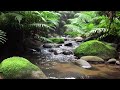 Gentle River Water Flow for Calm Evening Rest
