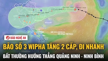 Nóng: Bão số 3 Wipha tăng 2 cấp, đi nhanh bất thường hướng thẳng Quảng Ninh - Ninh Bình