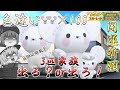 【ポケモンSV】色違いのワッカネズミを100匹ゲットすれば流石に色違い3匹家族イッカネズミ出るんじゃね?はい検証しま~すww【ゆっくり実況】
