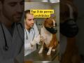 Top 3 de perros prohibidos #mascotas #perros #pitbull