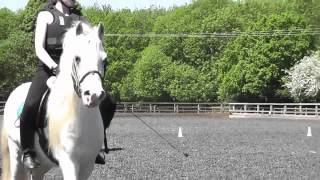 Horse Ride Squirrells Riding School Open Day 2012