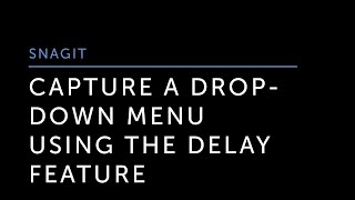 Capture a Drop Down Menu Using the Delay Feature in Snagit