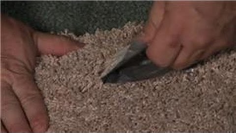 Carpet Cleaning : Removing Adhesive From Carpet