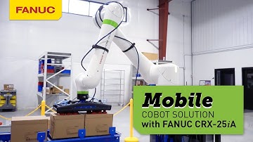 Get it Done with Collaborative Palletizing