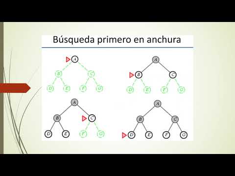 Video: ¿Qué es la búsqueda de amplitud primero en inteligencia artificial?