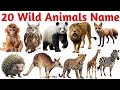 20 Wild Animals Names for Kids | Fun &amp; Easy Learning Video for Toddlers, Preschool &amp; Kindergarten