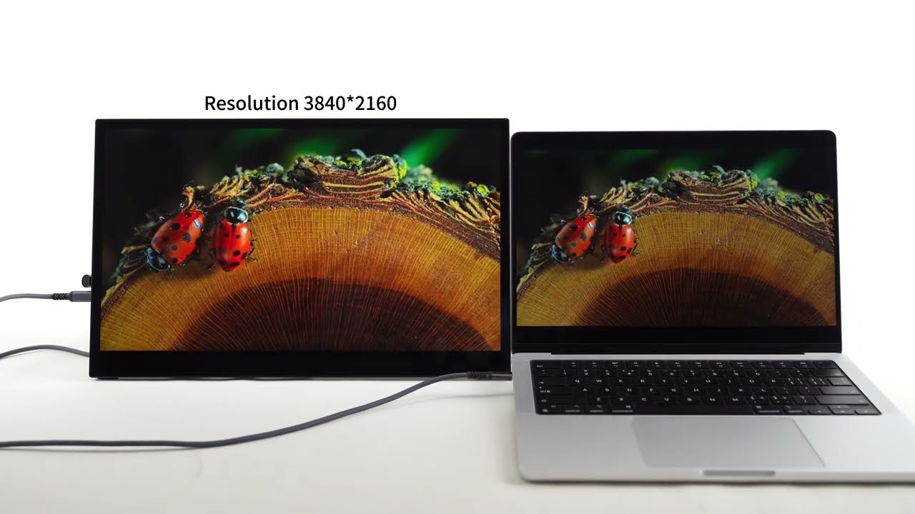 17.3'' 4K UHD Touchscreen Portable Monitor – IPS, 100% DCI-P3