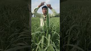 JPI Global Agriculture Parivartan Product Ka Dhamakedaar Result